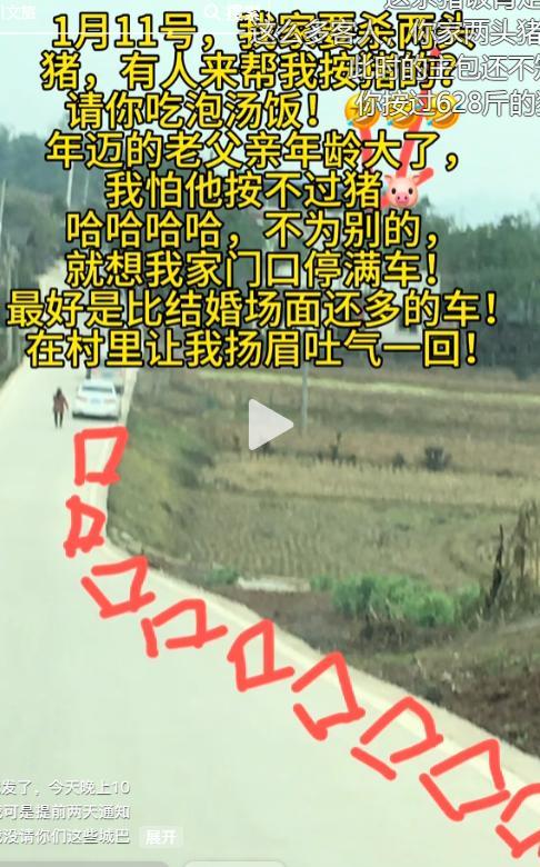 MK体育-株洲灿灿跟风杀猪,比呆呆还野!文旅提前6天准备,却被网友骂惨