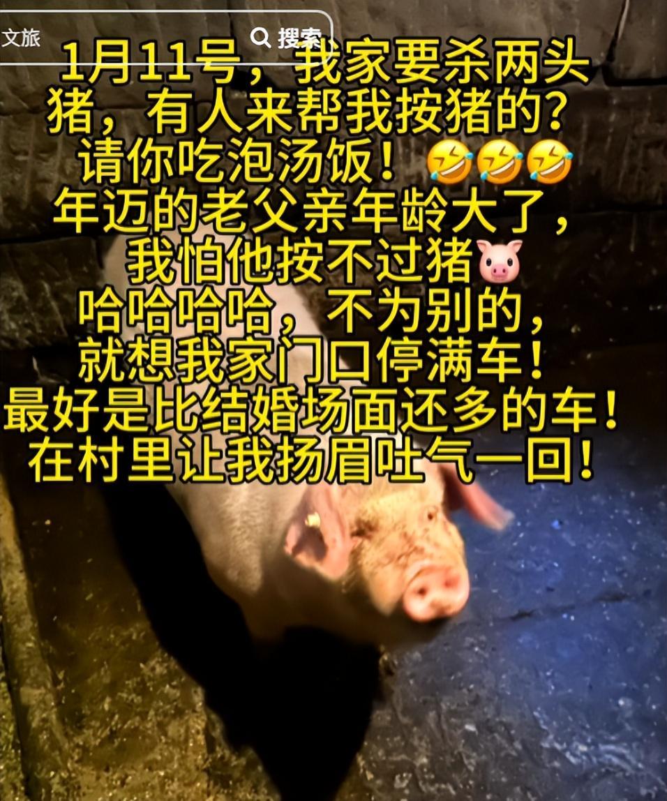 MK体育-株洲灿灿跟风杀猪,比呆呆还野!文旅提前6天准备,却被网友骂惨