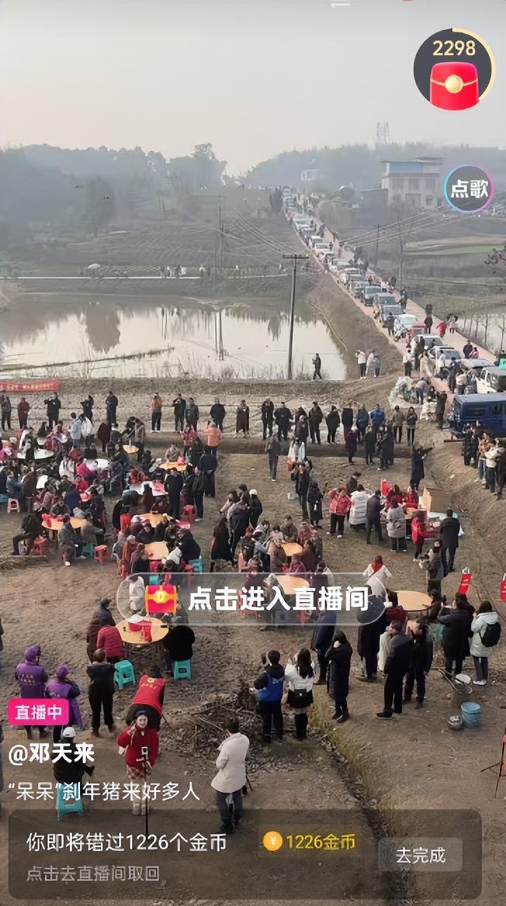 MK体育-株洲灿灿跟风杀猪,比呆呆还野!文旅提前6天准备,却被网友骂惨